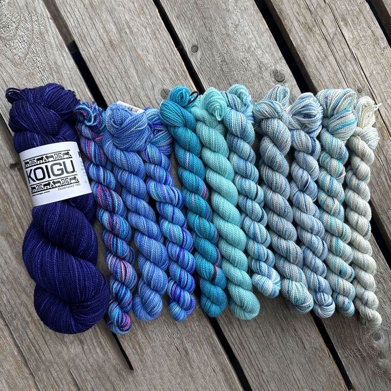 Koigu This or That MKAL 2024 Yarn – Nikko Blue
