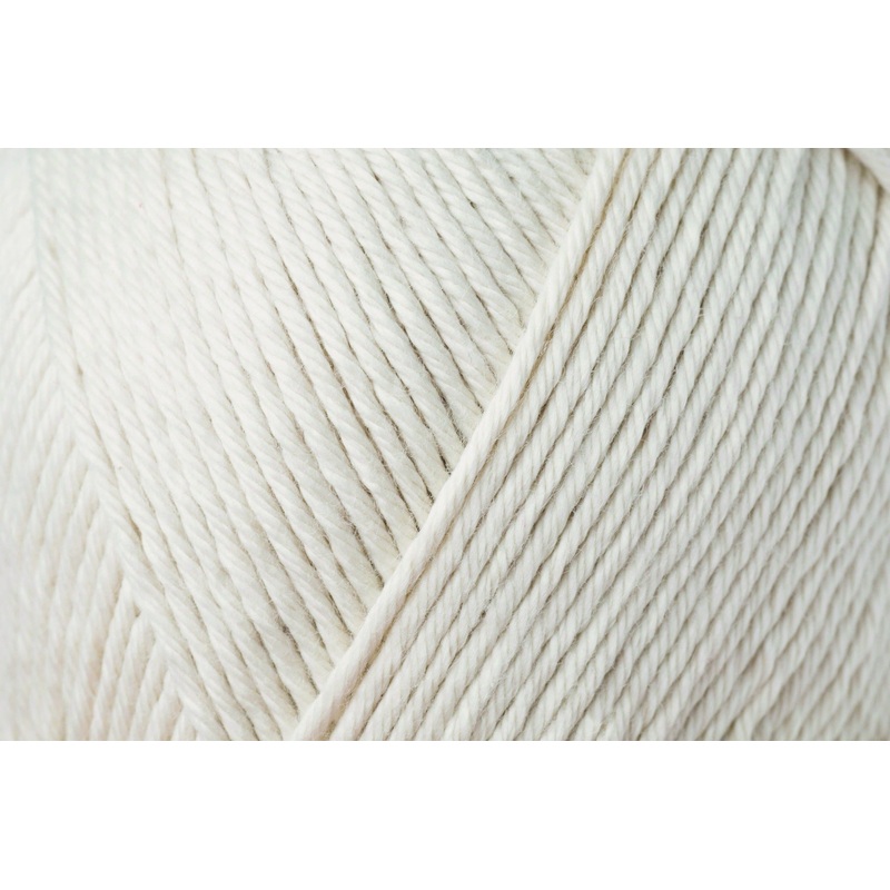 Seashell-466|Default Title
