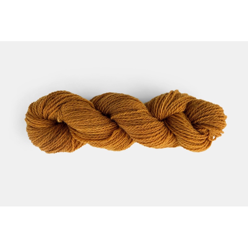 Autumn Birch|Selkirk Worsted