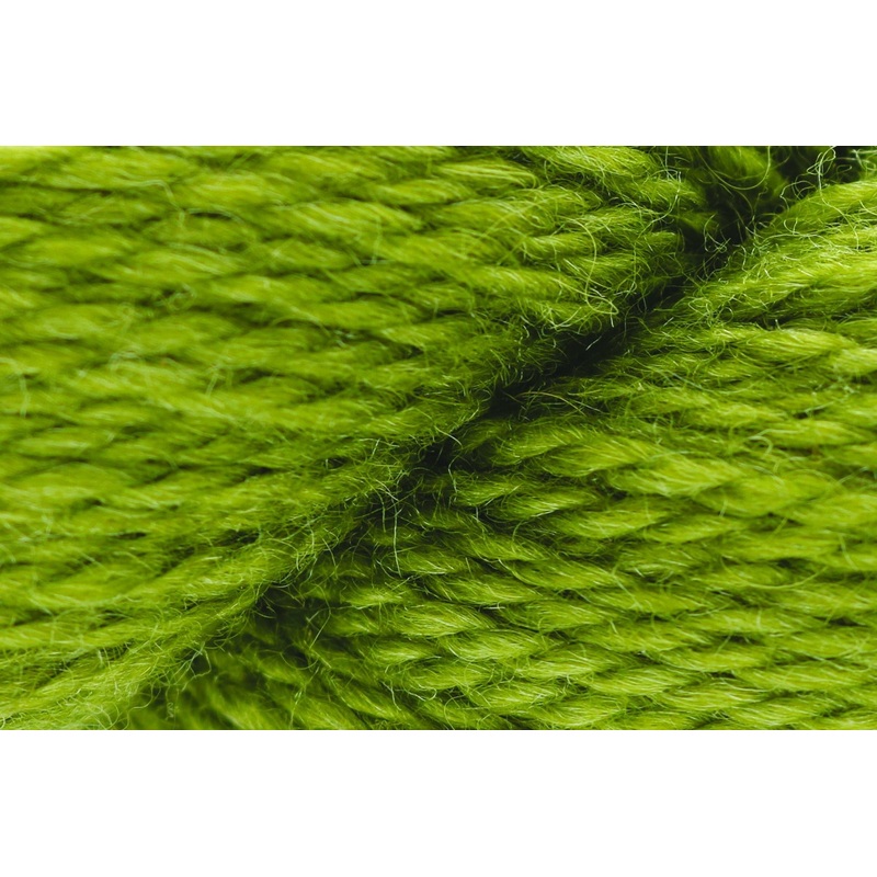 Parakeet-102|Default Title
