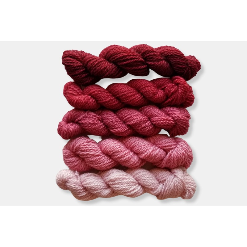 Red Gradient Kit|Selkirk Worsted