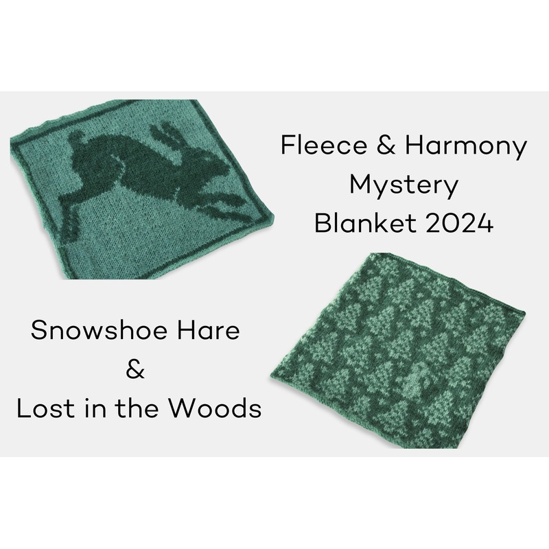 Fleece and Harmony Blanket 2024 March