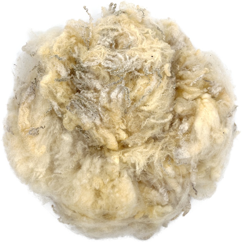 Natural Colour Finn Fleece – 100g