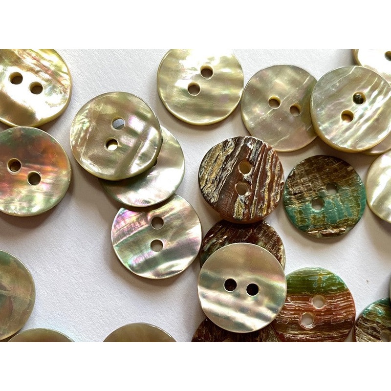 Pearly White Abalone Shell 15mm